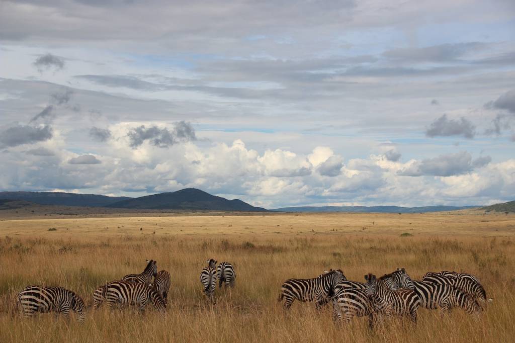 Magie kenyane : Itinéraires de rêve pour votre grande aventure africaine