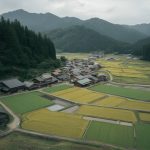 Explorer le Japon rural : itinéraire authentique entre rizières, ryokans et sources chaudes