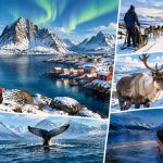 Laponie norvégienne : que voir et que faire lors de votre voyage ?